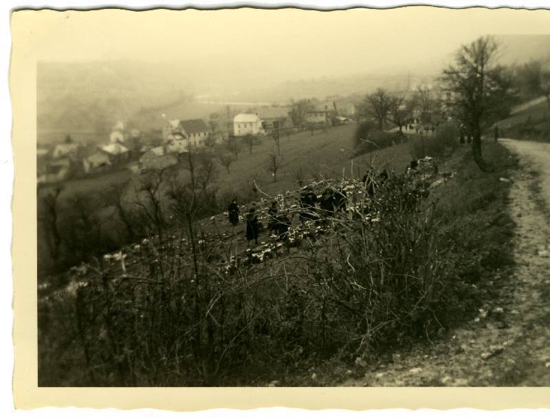 50er Jahre Bild Nr.101